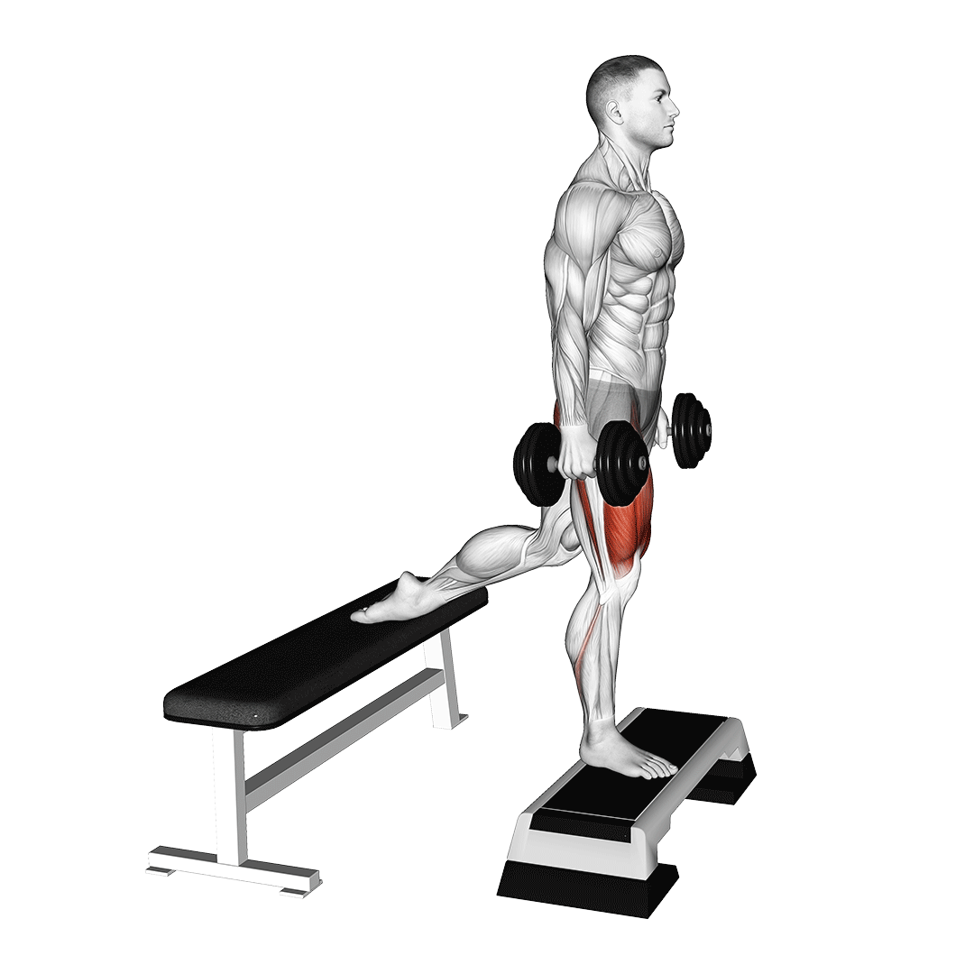 man doing Bulgarian Split Squat (With Dumbells)