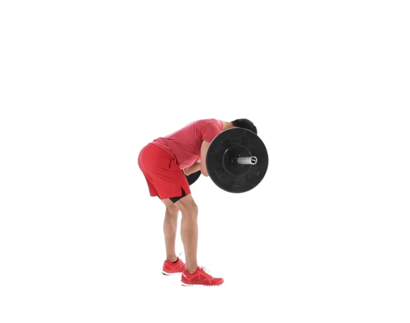 Man doing Barbell Zercher Good Morning