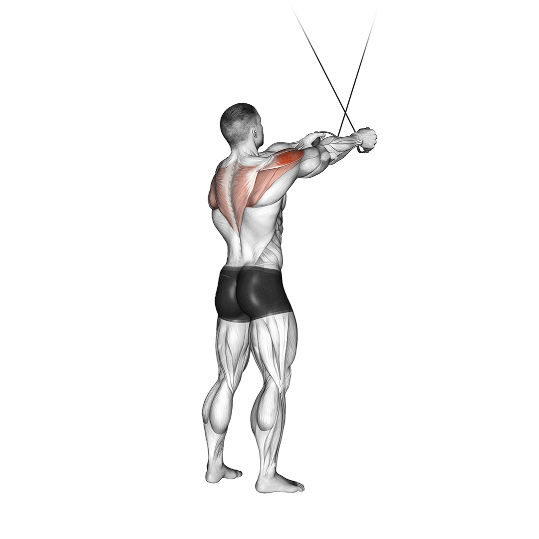 Man doing Cable Rear Delt Fly