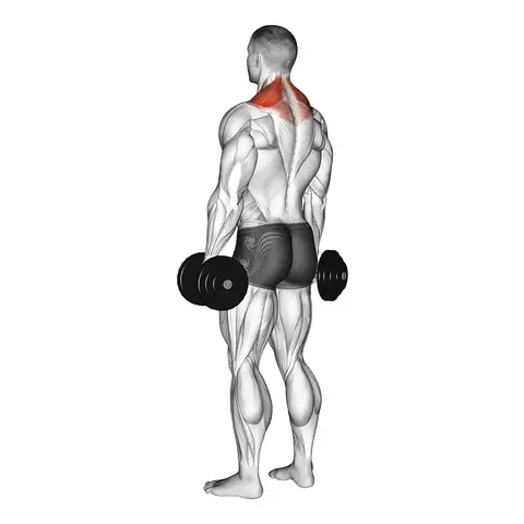 Man doing Dumbbell Shrugs