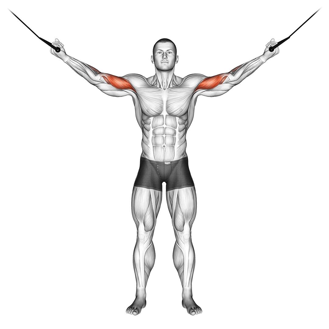 Man doing High Cable Bicep Curl