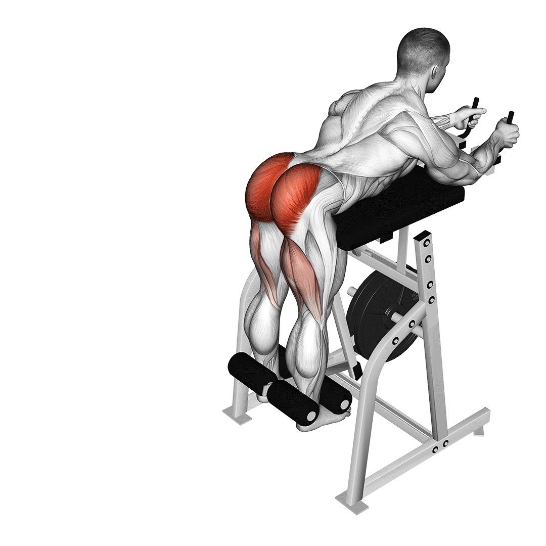 Man doing Reverse Hyperextensions