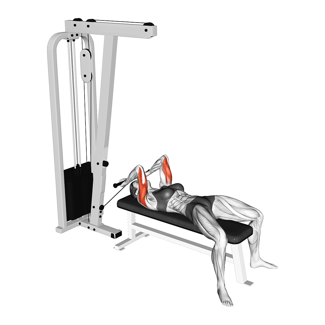 Woman doing Cable Skull Crushers (bench)