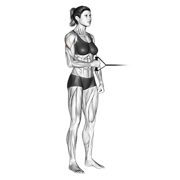 Woman doing able Internal or External Rotation