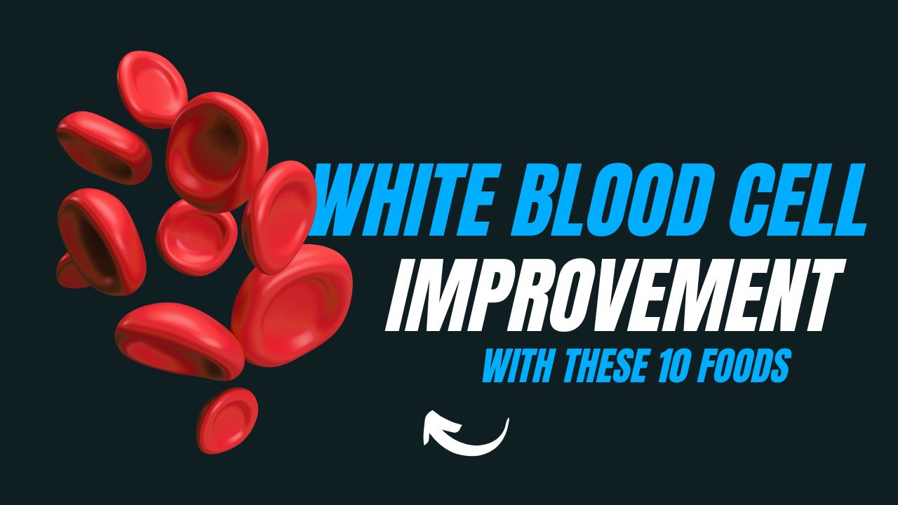 10 Foods That Improve White Blood Cell Function
